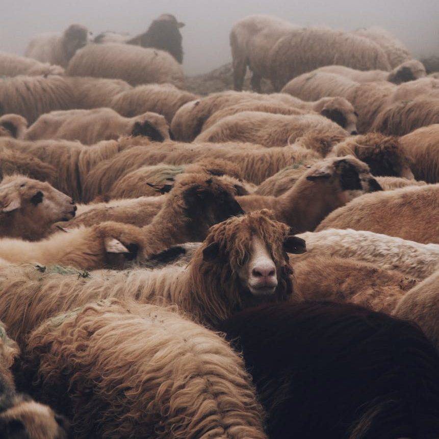 Our Why Magical Mill